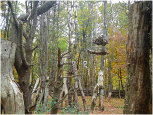 Photo of the Dark Woods with hangings and crotches